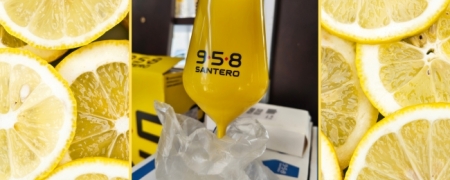 Calice Santero 958 in ABS da Collezione